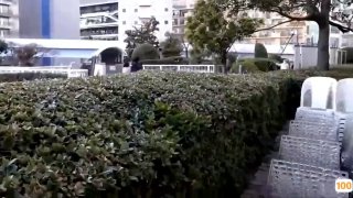 日本无码av拍摄过程
